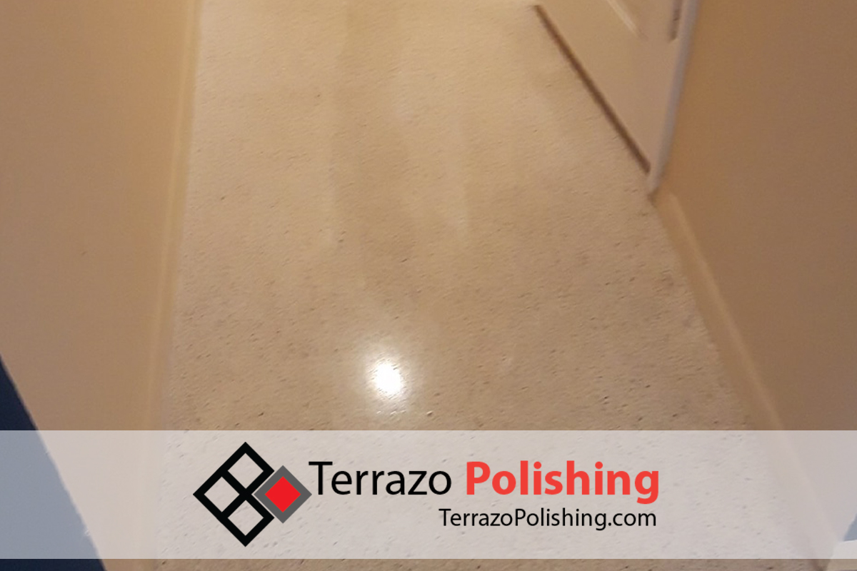 Terrazzo Floor Stain Removing Service Broward